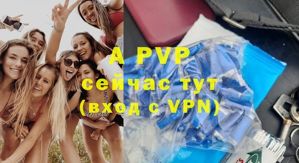 стаф Абинск