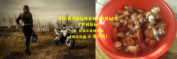 стаф Абинск