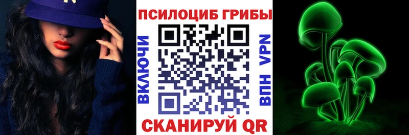 omg tor Железноводск Псилоцибиновые грибы MAGIC MUSHROOMS