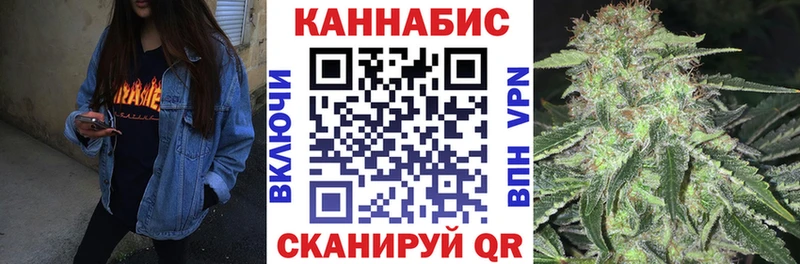 как найти   Железноводск  Шишки марихуана планчик 